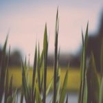 大家乐平台:带你领略多样化的线上娱乐活动与赛事 340sk88