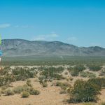 大家乐娱乐:打造家庭聚会的欢乐时光与美好回忆 85bs73ko