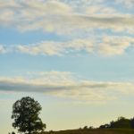 大西洋城赌场:探索美国东海岸的娱乐之都魅力 97b682gate