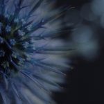 大胜娱乐:打造属于你的精彩休闲时光 dnb9lds4wg