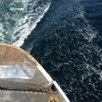 天上人间娱乐平台:让你畅享无尽的娱乐时光 im1buju6