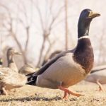 天博平台的安全性与用户隐私保护措施解析 izuvx141d