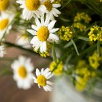 大嬴家娱乐的魅力:如何吸引年轻人的目光 j2t6ye