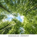 大发体育平台:新手玩家必知的注册与使用指南 o4670