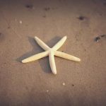 天天乐:让每一天都充满欢笑与快乐的秘诀 sq02wid