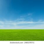 18019期足彩开奖结果揭晓:大奖花落谁家引关注 38mgnj