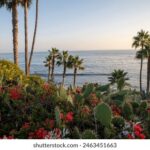 18027期足彩开奖结果揭晓:大奖花落谁家? 4k55a3