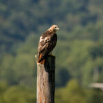 3d2025201期开奖结果最新公布与查询 5d9e6s