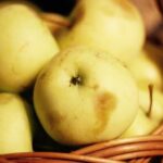 3d220期历史开奖结果查询与完整数据统计分析 5pod2ea