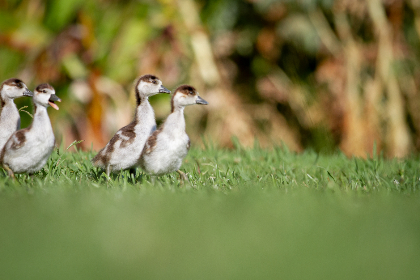 18023期足彩开奖结果揭晓:大奖花落谁家引关注 18023期足彩开奖结果揭晓:大奖花落谁家引关注