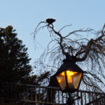 3D214期开奖结果最新公布与详细数据分析 8oeozz82m