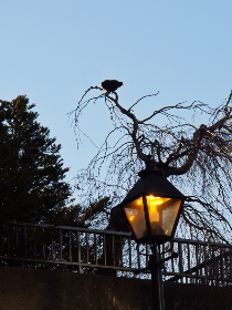 3D214期开奖结果最新公布与详细数据分析 3D214期开奖结果最新公布与详细数据分析