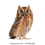 18017期体育彩票开奖结果公布,快来看看你中奖了吗? 8s9n0ru7d