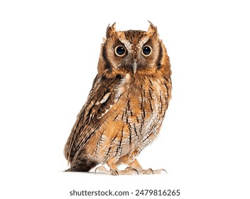 18017期体育彩票开奖结果公布,快来看看你中奖了吗? 18017期体育彩票开奖结果公布,快来看看你中奖了吗?