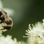 180267开奖结果最新公布,速看中奖号码详情 c2u3atnl