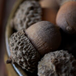 3d2025107期开奖结果最新公布与详细数据分析 hqzpbaj2p