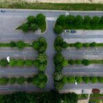 3d2025121期开奖结果最新公布与详细分析 p4iydevra