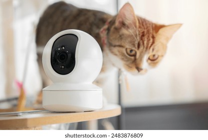 18029期彩票开奖时间及结果查询指南 18029期彩票开奖时间及结果查询指南