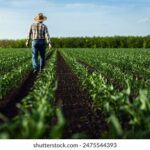 18042期开奖结果震撼揭晓,大奖花落谁家引关注 r1an85s0