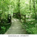 18026期体育彩票开奖结果最新公布 rjd62yvqx