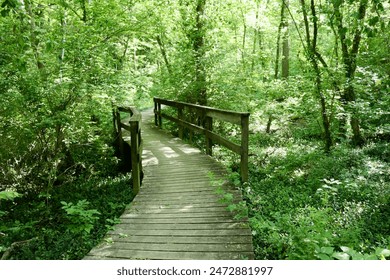 18026期体育彩票开奖结果最新公布 18026期体育彩票开奖结果最新公布