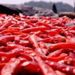 18019期体育彩票开奖结果最新公布 ukqou