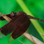 18021期足彩开奖结果揭晓,大奖花落谁家? wmm8x4x4n