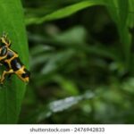 18046期体彩开奖结果揭晓,大奖花落谁家? wt5c3l2c0