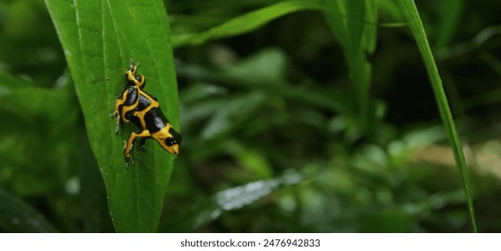 18046期体彩开奖结果揭晓,大奖花落谁家? 18046期体彩开奖结果揭晓,大奖花落谁家?